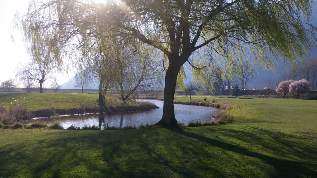 Royalwood Golf Course fairway with mountain views