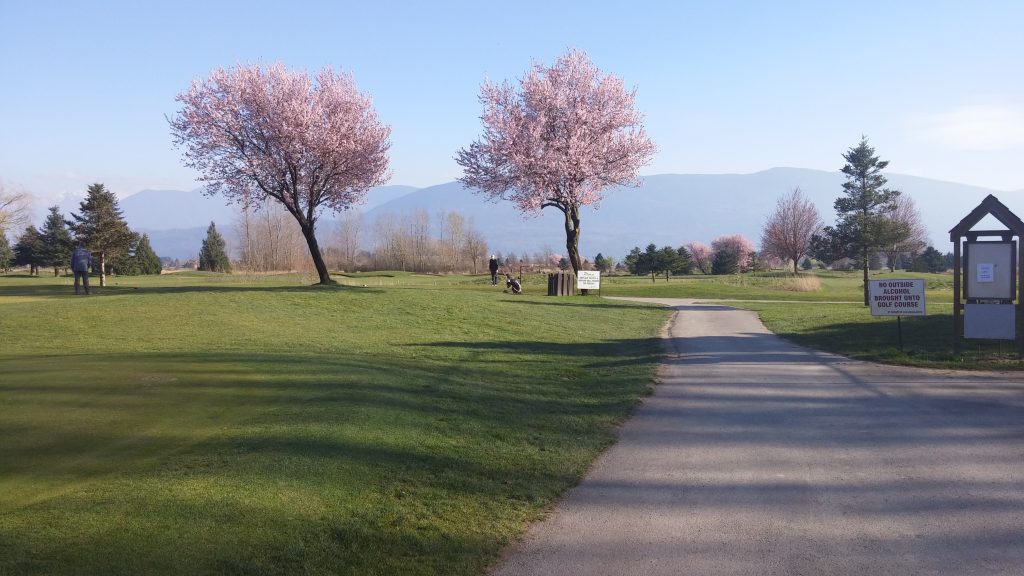 Royalwood Golf Course fairway